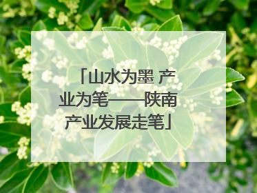 山水为墨 产业为笔——陕南产业发展走笔