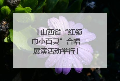 山西省“红领巾小百灵”合唱展演活动举行