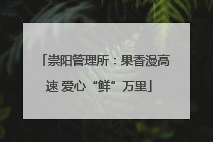 崇阳管理所：果香漫高速 爱心“鲜”万里