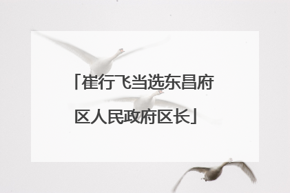 崔行飞当选东昌府区人民政府区长