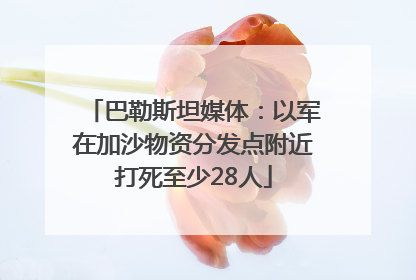 巴勒斯坦媒体：以军在加沙物资分发点附近打死至少28人