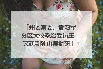 州委常委、都匀军分区大校政治委员王文建到独山县调研