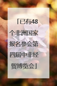 已有48个非洲国家报名参会第四届中非经贸博览会