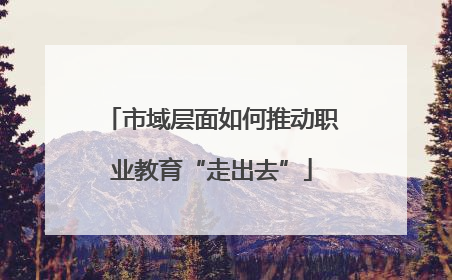 市域层面如何推动职业教育“走出去”