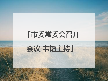 市委常委会召开会议 韦韬主持