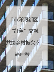 市洋河新区：“红蓝”交融 共绘乡村振兴幸福画卷