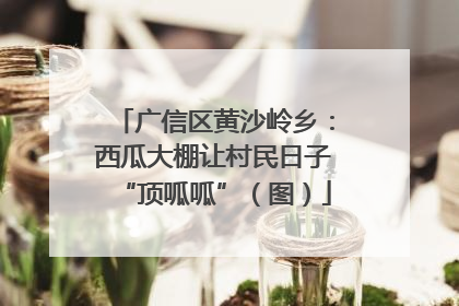 广信区黄沙岭乡：西瓜大棚让村民日子“顶呱呱”（图）