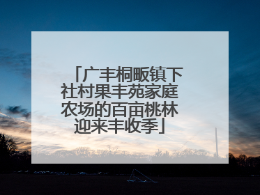 广丰桐畈镇下社村果丰苑家庭农场的百亩桃林迎来丰收季