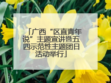 广西“区直青年说”主题宣讲暨五四示范性主题团日活动举行