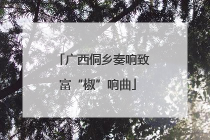 广西侗乡奏响致富“椒”响曲
