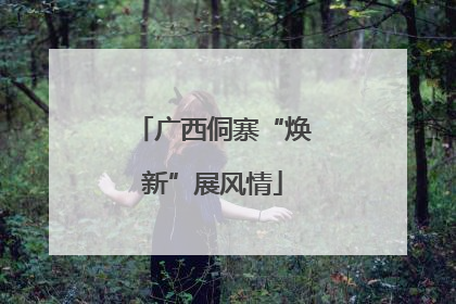 广西侗寨“焕新”展风情