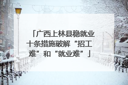 广西上林县稳就业十条措施破解“招工难”和“就业难”