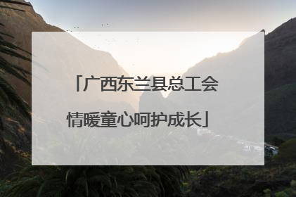 广西东兰县总工会情暖童心呵护成长