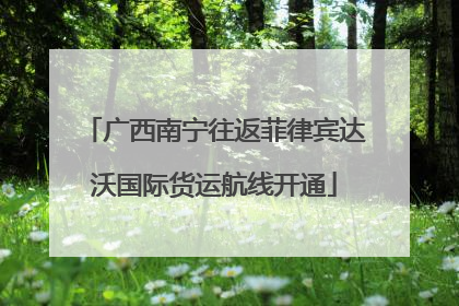广西南宁往返菲律宾达沃国际货运航线开通