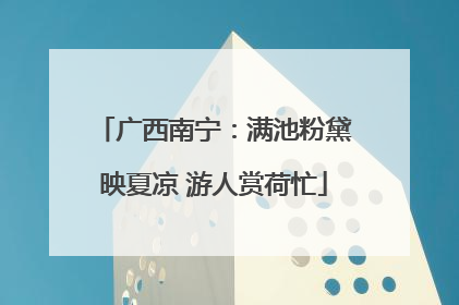 广西南宁：满池粉黛映夏凉 游人赏荷忙