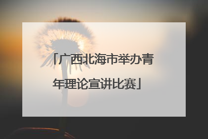 广西北海市举办青年理论宣讲比赛
