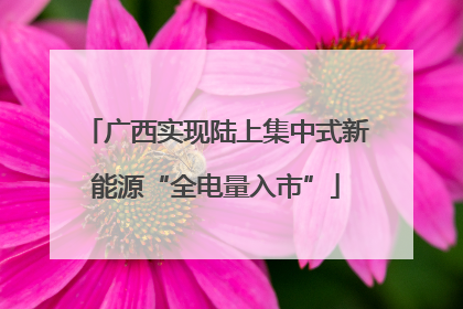 广西实现陆上集中式新能源“全电量入市”