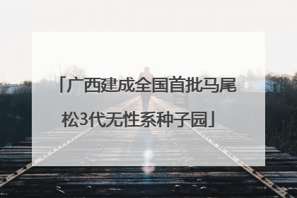 广西建成全国首批马尾松3代无性系种子园