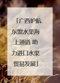 广西护航东盟水果海上通道 助力进口水果贸易发展