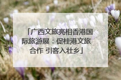 广西文旅亮相香港国际旅游展：促桂港文旅合作 引客入壮乡