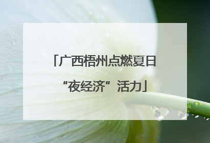 广西梧州点燃夏日“夜经济”活力