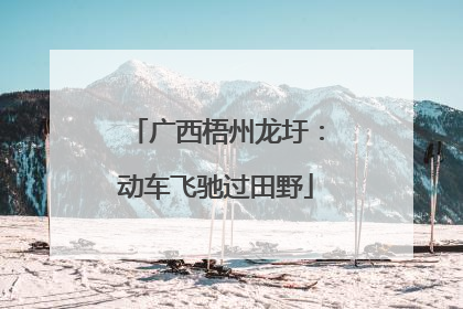 广西梧州龙圩：动车飞驰过田野