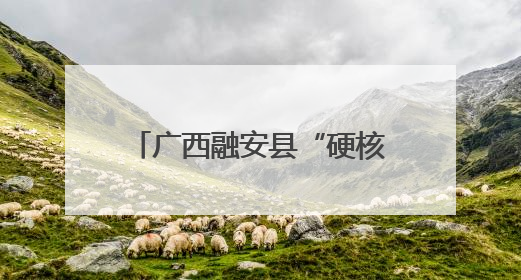 广西融安县“硬核”监管护航春耕