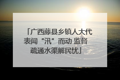 广西藤县乡镇人大代表闻“汛”而动 监督疏通水渠解民忧