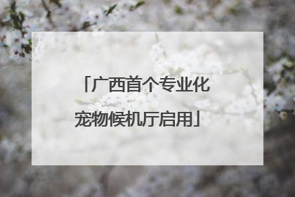 广西首个专业化宠物候机厅启用