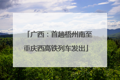 广西：首趟梧州南至重庆西高铁列车发出
