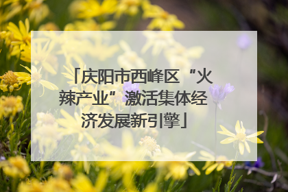 庆阳市西峰区“火辣产业”激活集体经济发展新引擎