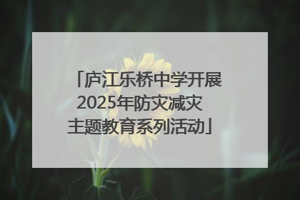庐江乐桥中学开展2025年防灾减灾主题教育系列活动
