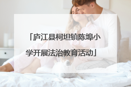 庐江县柯坦镇陈埠小学开展法治教育活动