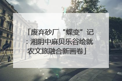 废弃砂厂“蝶变”记：湘阴中麻贝乐谷绘就农文旅融合新画卷