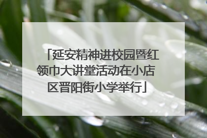 延安精神进校园暨红领巾大讲堂活动在小店区晋阳街小学举行