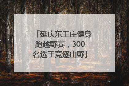 延庆东王庄健身跑越野赛，300名选手竞逐山野