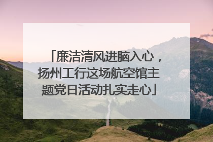廉洁清风进脑入心，扬州工行这场航空馆主题党日活动扎实走心