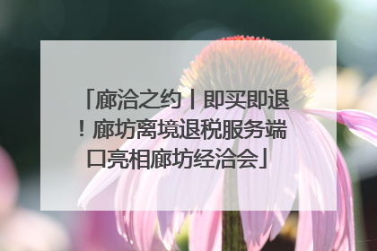 廊洽之约丨即买即退！廊坊离境退税服务端口亮相廊坊经洽会
