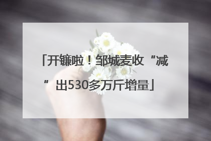 开镰啦！邹城麦收“减”出530多万斤增量