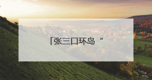 张三口环岛“祥云”模纹花坛呈现最佳景观
