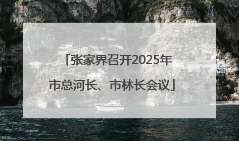 张家界召开2025年市总河长、市林长会议