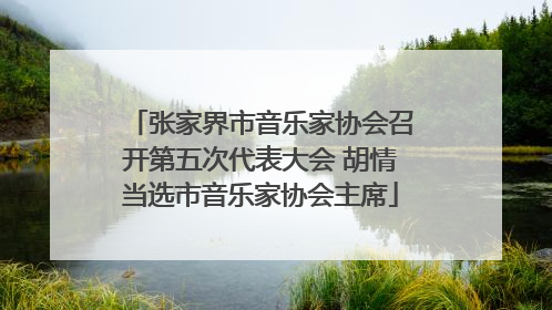 张家界市音乐家协会召开第五次代表大会 胡情当选市音乐家协会主席