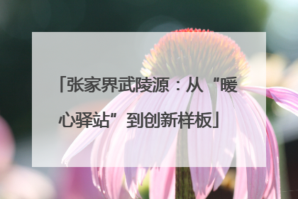 张家界武陵源：从“暖心驿站”到创新样板