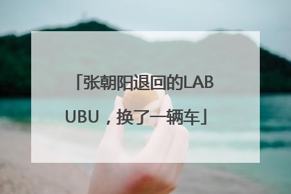 张朝阳退回的LABUBU，换了一辆车