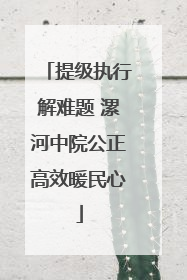 提级执行解难题 漯河中院公正高效暖民心