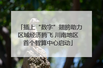 插上“数字”翅膀助力区域经济腾飞 川南地区首个智算中心启动