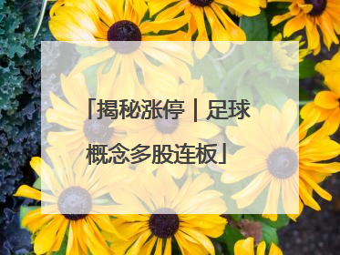 揭秘涨停｜足球概念多股连板