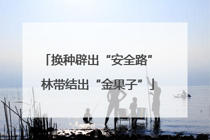 换种辟出“安全路” 林带结出“金果子”