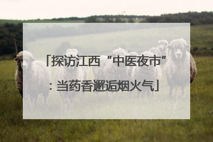 探访江西“中医夜市”：当药香邂逅烟火气