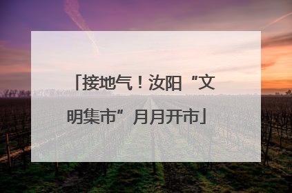 接地气！汝阳“文明集市”月月开市